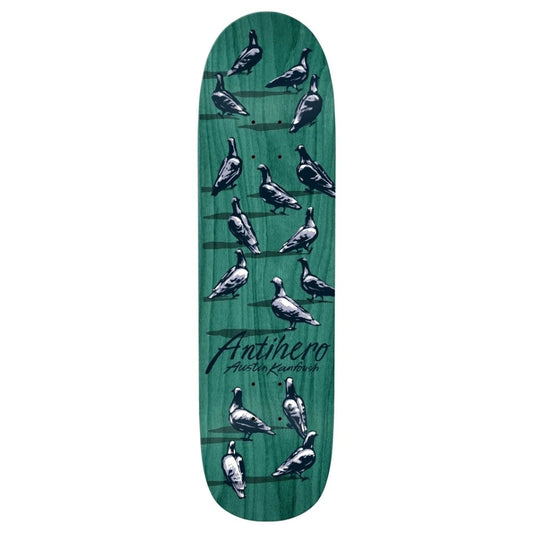 The Antihero Dawn Pidgeon Kanfoush Skateboard Deck in Dawn Pidgeon