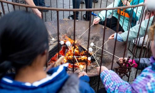 People roasting marshmallows over a fire pit with a metal barrier.