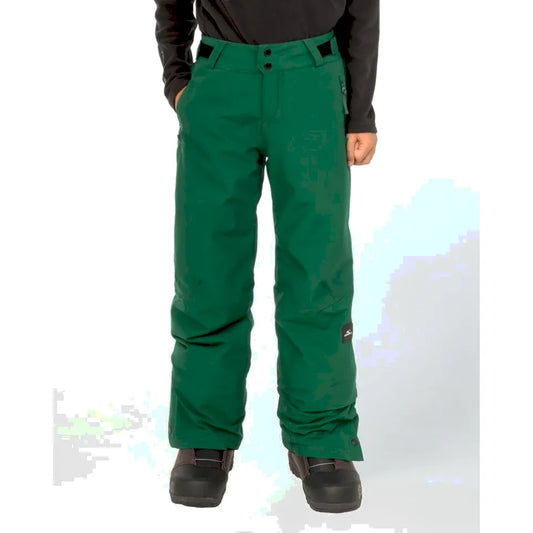 The O'Neill Cruz Boy's Snow Pant 2026 In Emerald Envy