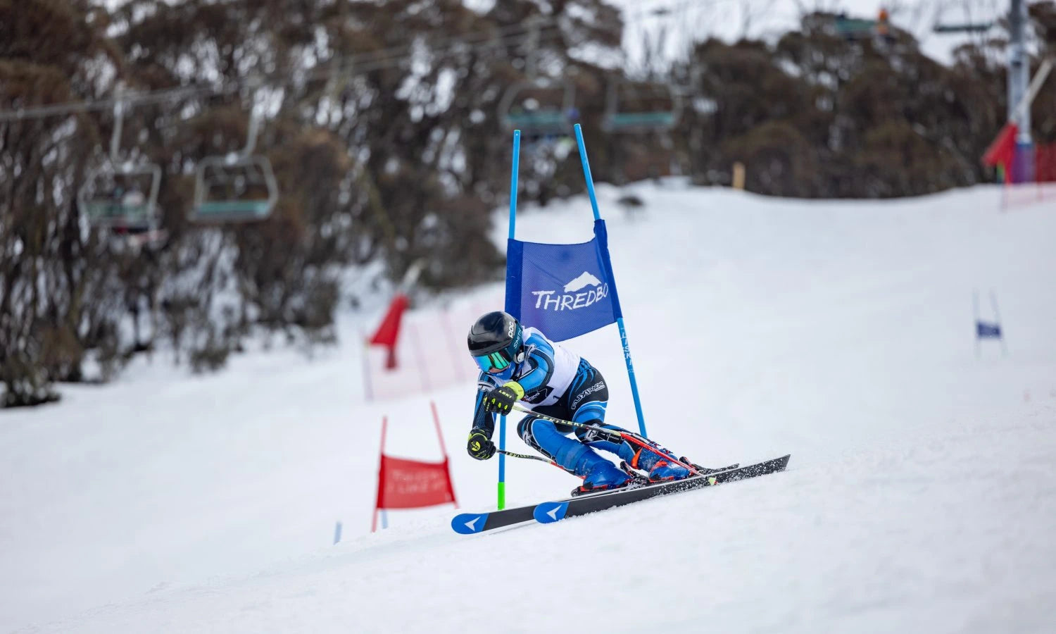 Ski racer in action on a snowy course with 'Thredbo' branding.
